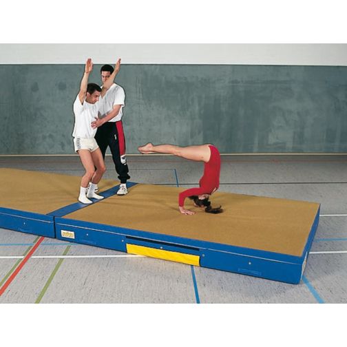 Reivo® Combo Reversible Mat