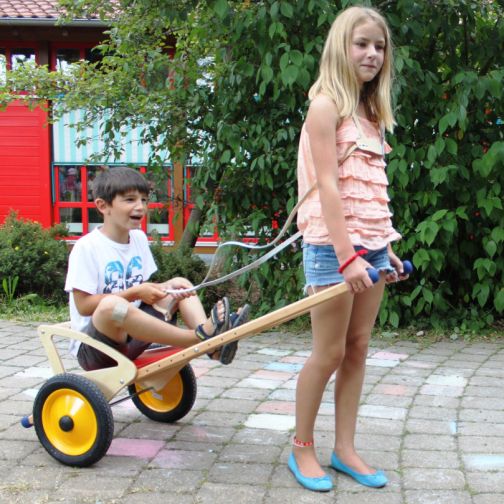 Pedalo® Horse Lead