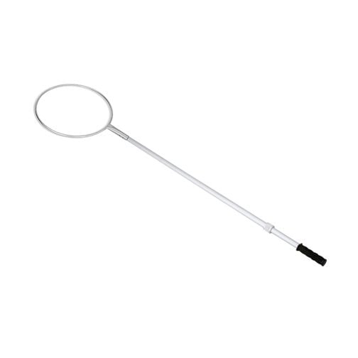 Extendable Rescue Pole