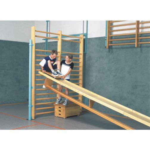 Roller board track Flizzer