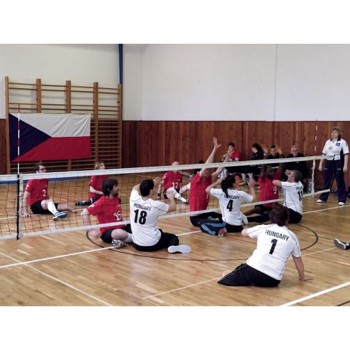Sitting Volleyball Net System
