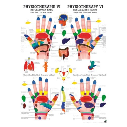 Poster - Hand Reflex Zones
