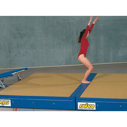 Reivo® Combo Reversible Mat