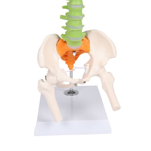 Erler-Zimmer Flexible Mini Spine