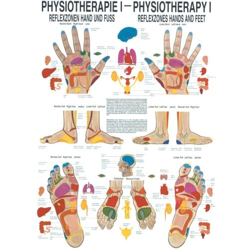 Poster - Reflex Zones