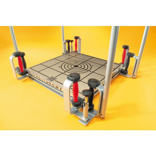 BIOSWING Posturomed® 202