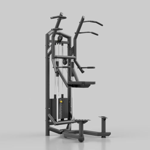 UpForm® Dip & Pull-Up Assist UF-009