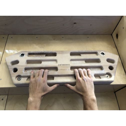Antworks® Training Board Strong Ant III