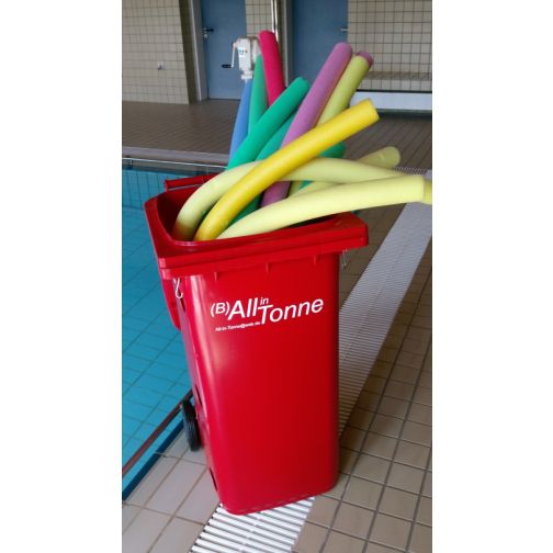 All-in-One Ball Storage Bin