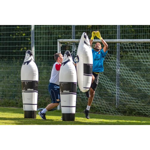 Filippi Push® for Goalkeeper Training