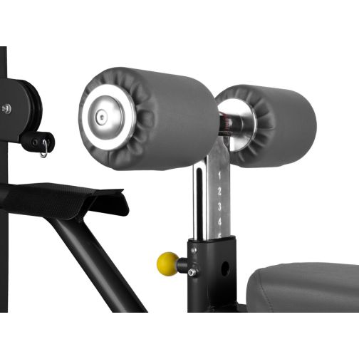 BH Fitness® Inertia Lat Pull Down/Rowing Machine L550B