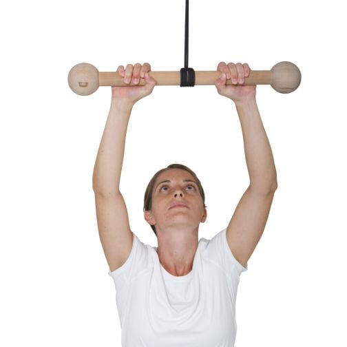 Pedalo® Pull-Up Bar with Ball Grip