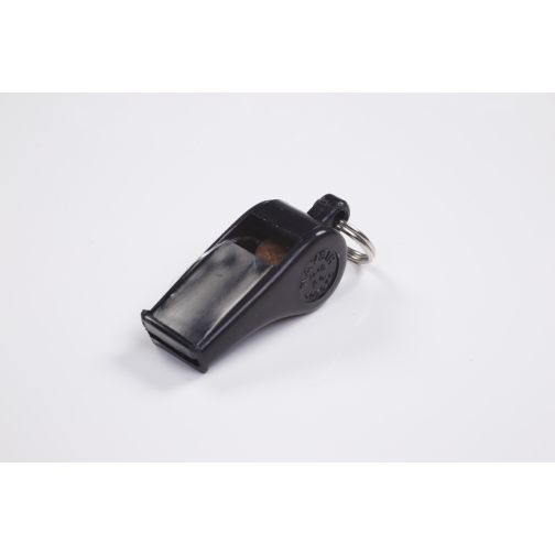 Whistle
