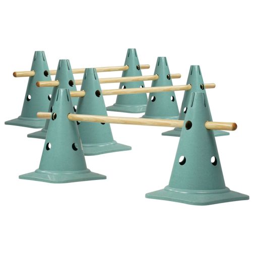 Bio-Kegelhurdles 4-piece set NATURAL made from renewable resources