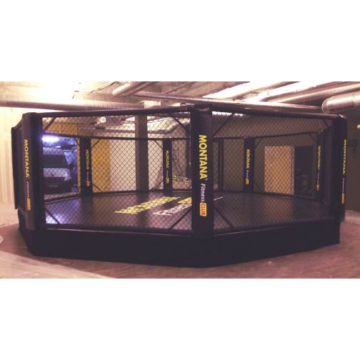 MMA Cage with Platform