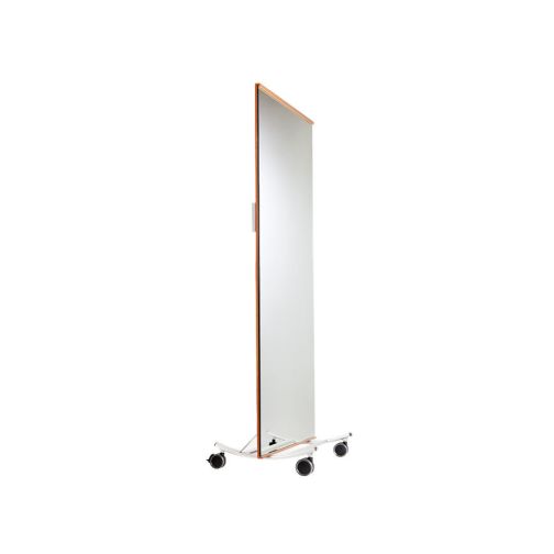 Dance Mirror