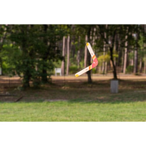BS Toys® Boomerang