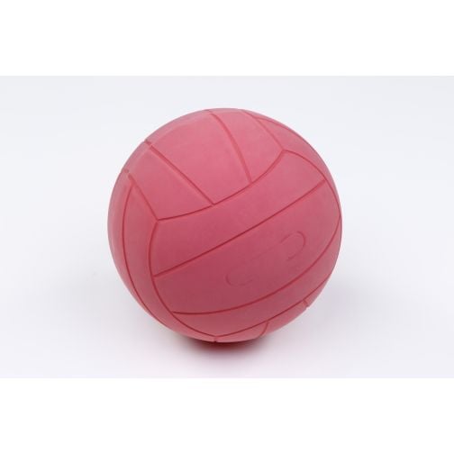 WV® Torball