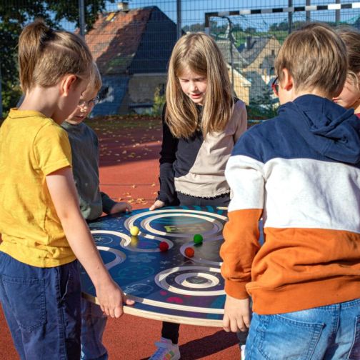 Erzi® Balancing Game Team Disc