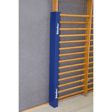 Bänfer® protective padding for wall bars