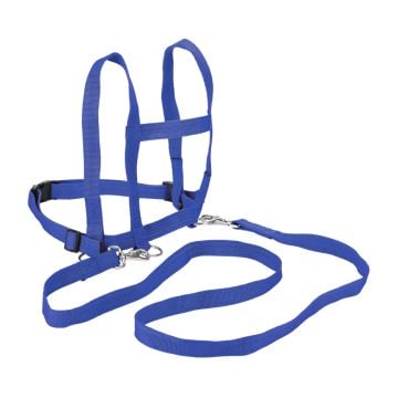 Horse leash with harness