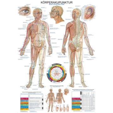 Chart - Body Acupuncture