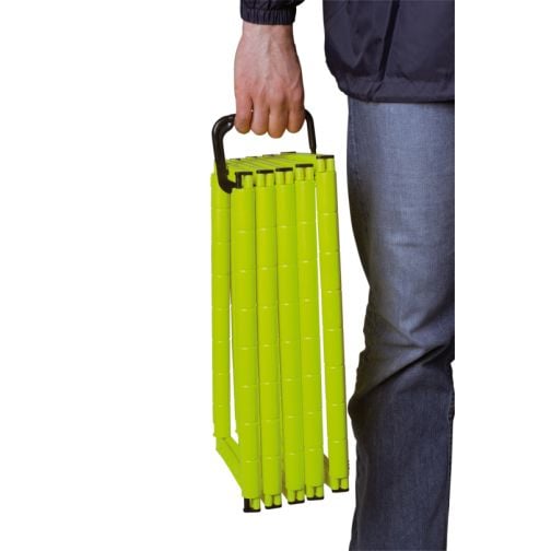 Coordination ladder with carrying handle