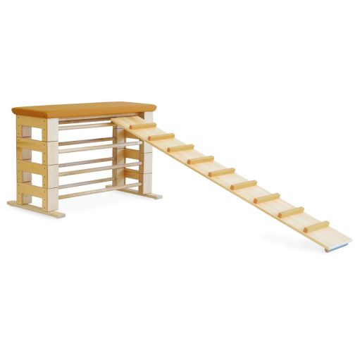 Chicken ladder for movement landscapes