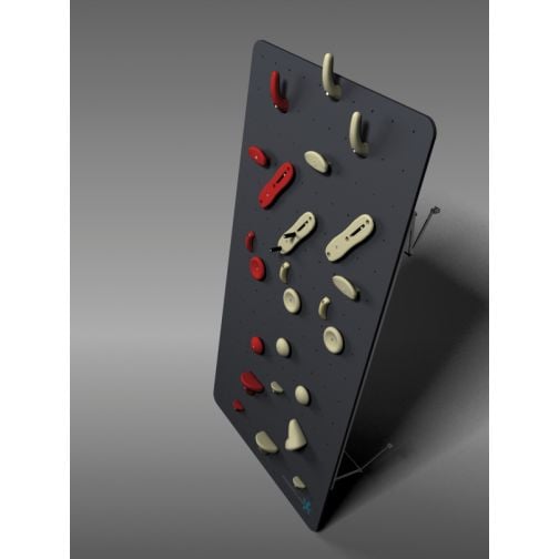 Physioclimb® Climbing Wall