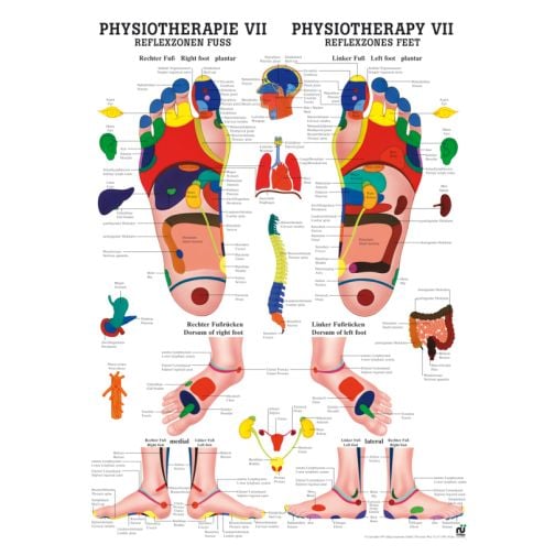 Poster - Reflexology Foot