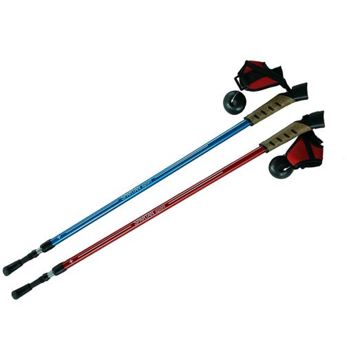 Telescopic Nordic Walking poles with cork grip