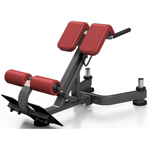Marbo Sport® Back Trainer
