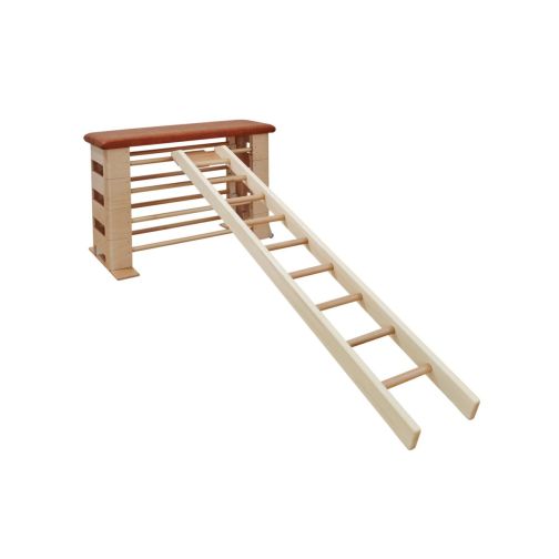 Gymnastics ladder for movement landscapes