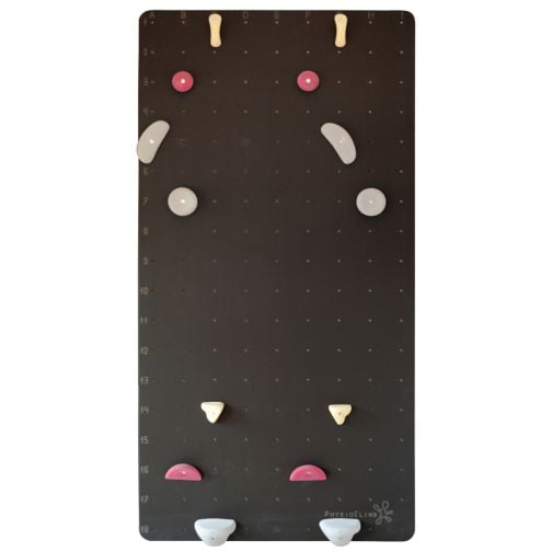 PhysioClimb® Climbing Wall Standard