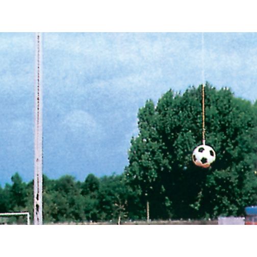 Replacement Hanging Rope for Medicine Ball 