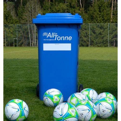 All-in-One Ball Storage Bin