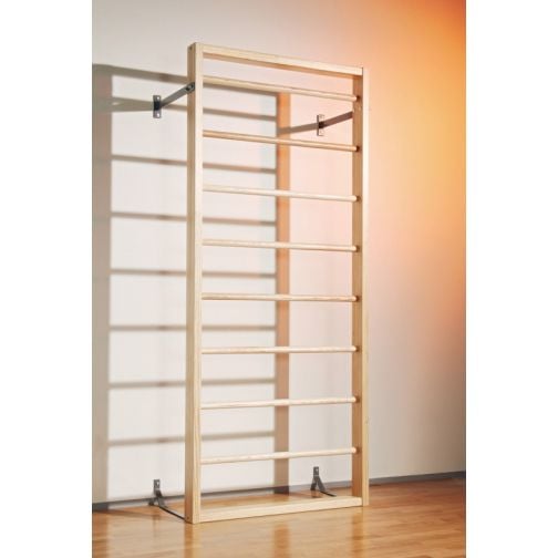 Kübler Sport Climbing Wall with Rungs