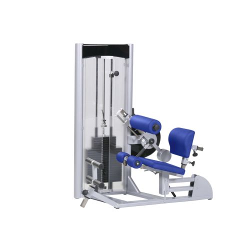 Combination device: Abdominal and back trainer