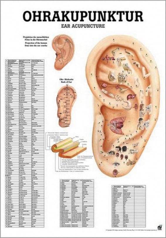 Poster - Ear Acupuncture