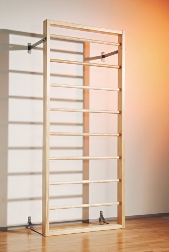 Kübler Sport Climbing Wall with Rungs