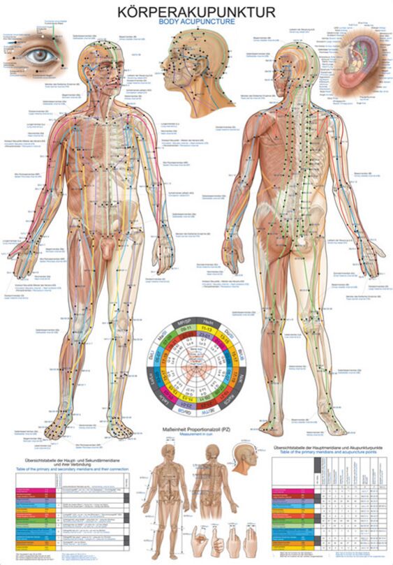Chart - Body Acupuncture