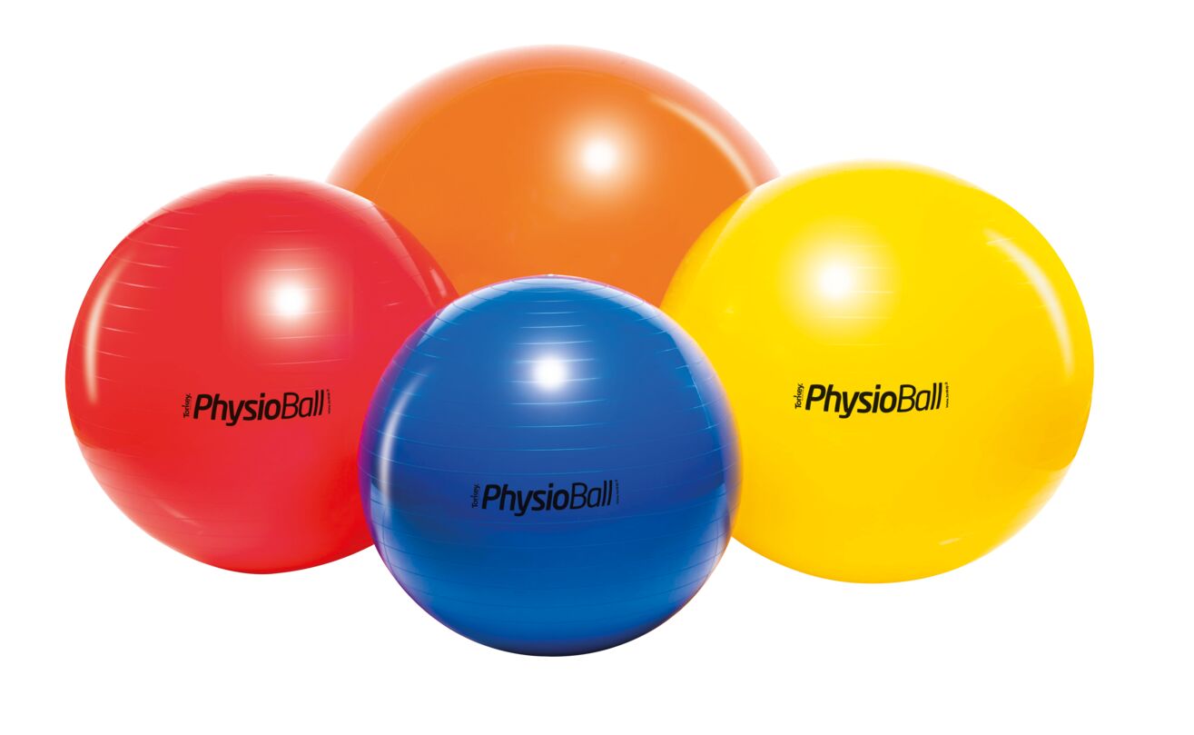 Original PEZZI® PhysioBall