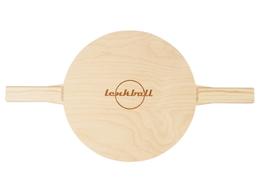 Steering Ball Bat HT300