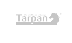 Tarpan