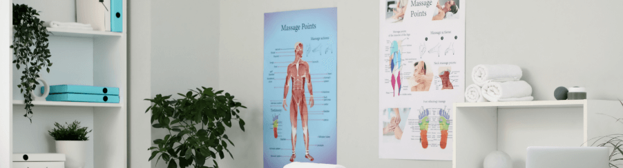 Anatomy Charts & Posters