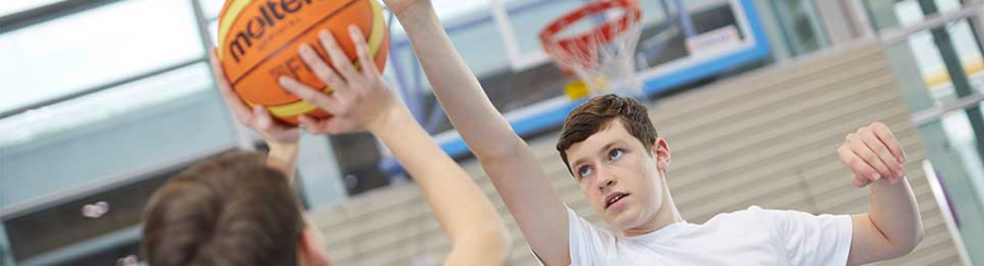 Basketball Balls Basketball Balls