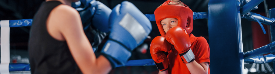 Boxing Gloves Boxing Gloves