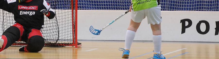 Floorball Fence