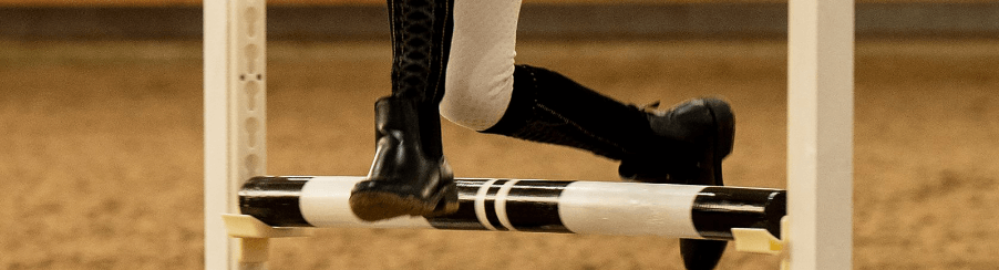 Hobby Horse Accessories