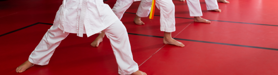 Judo Mats